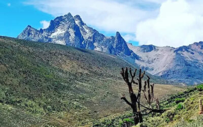 4 Days Mt. Kenya Climb (Chogoria route)