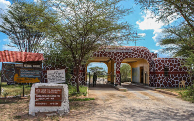 6 Days Samburu, Lake Naivasha & Maasai Mara Safari